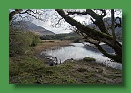 Connemara (232)